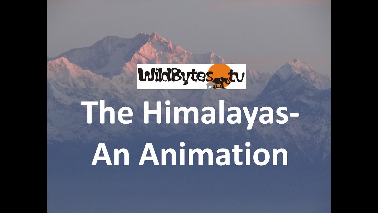 Formation of the Himalayas - An Animation of the geological changes -  YouTube