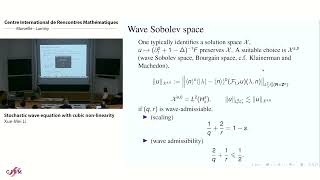 Xue-Mei Li: Stochastic wave equation with cubic non-linearity