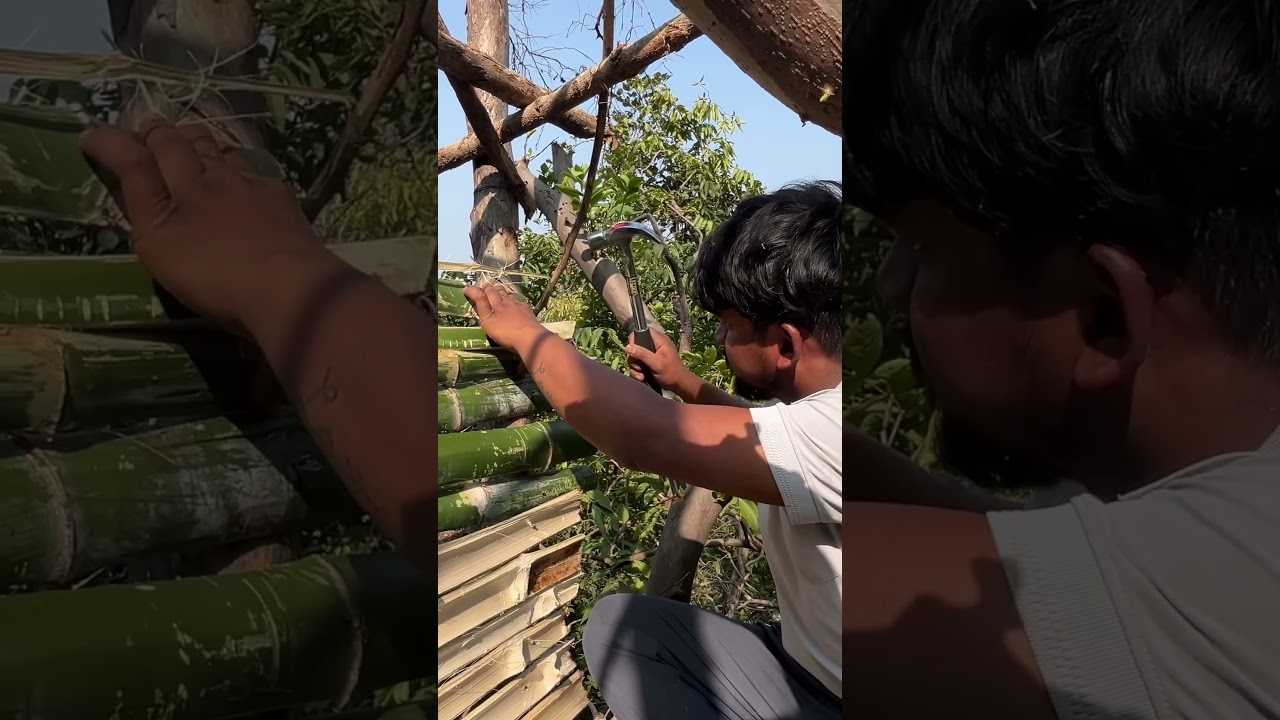 Tree House Camping | tree House In Forest | Ped Par Ghar Camping | Tree House Stay |