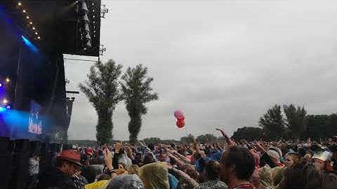 Wereldreizigers.nl | DTRH 2019 - The Roots