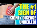 1 sign of kidney disease in 2024