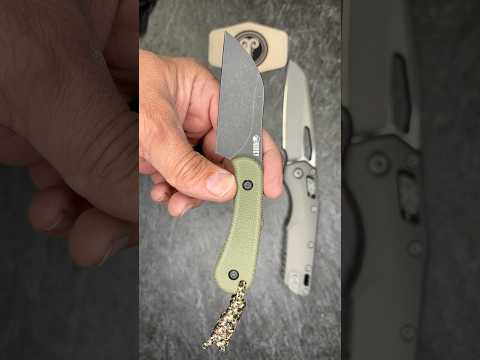 Today’s Pocket Check     