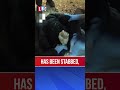 ‘Police did something reserved for terrorists’