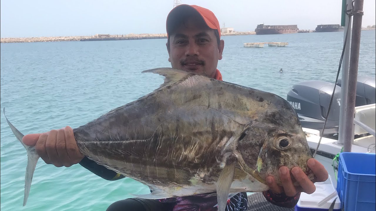 Micro jigging///diamond tribally, sheri, & barracuda….!!!