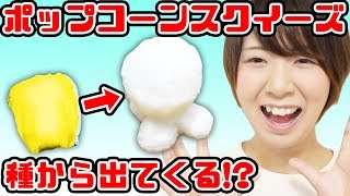【巨大】ポップコーンスクイーズ作ってみた！【DIY】