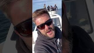 Great White Sharks At Seal Island! Mossel Bay Great White Shark Update 06/05/2023