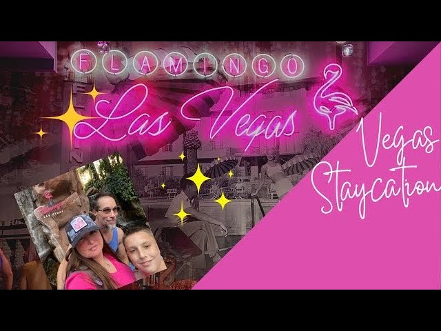 Flamingo 🦩 Hotel Las Vegas FULL Resort tour! Rooms, Pool where to dine  monorail 