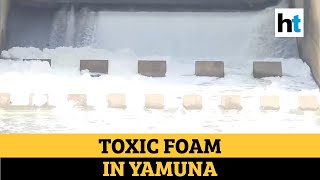 Watch: Toxic foam seen floating in river Yamuna at Okhla barrage, Delhi screenshot 5