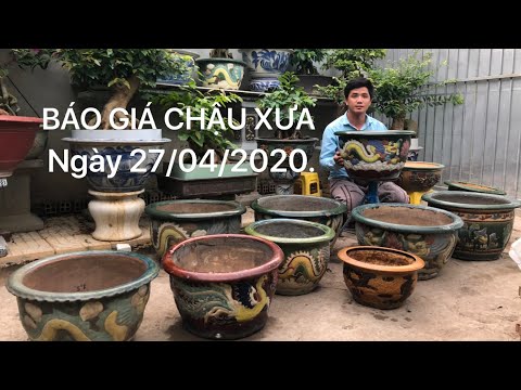 Video BÁO GIÁ CHẬU XƯA CẦN THƠ NGÀY 27/04/2020. SĐT:... - youtube
