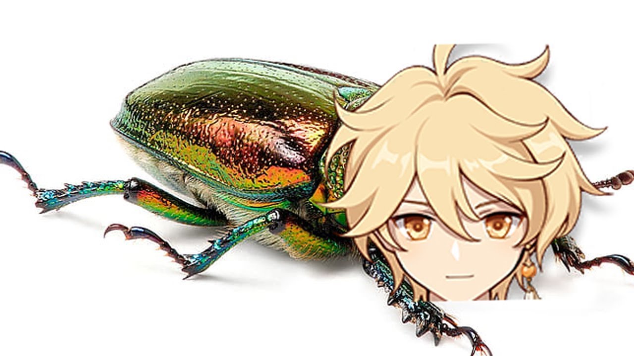 Aether bugs geo cube