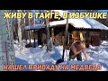 С 23 ФЕВРАЛЯ! ⬇ ДОМИК В ТАЙГЕ. ЖИВУ В ИЗБУШКЕ. ПРИВАДА НА МЕДВЕДЯ,  СИДЬБА, БАНЯ. РИС С ЛОСЯТИНОЙ.