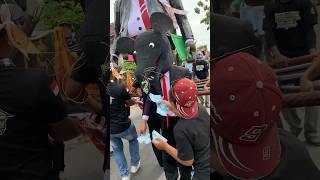 Download Lagu tikus tikus berdasi minta jatah MP3