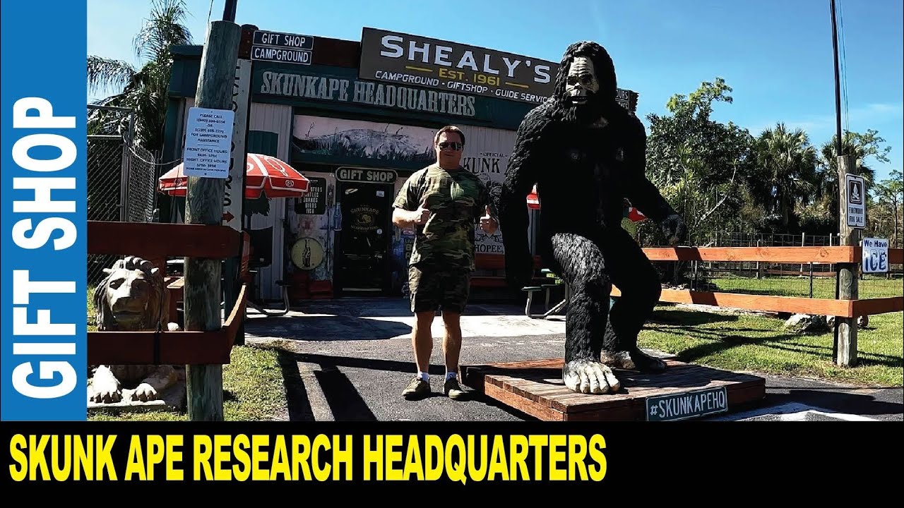 Meet Florida Big Foot Skunk Ape visiting gift shop in Big Cypress National Preserve | Jarek in USA
