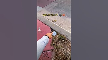 One of over 3 MILLION! Download the Geocaching app and see if any Geocaches are hidden near you! 👀