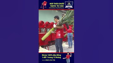 Máy thái chuối cả cây mẫu mới, phiên bản 2021, động cơ 2,2kw, thái mịn chuối cho gà vịt #short