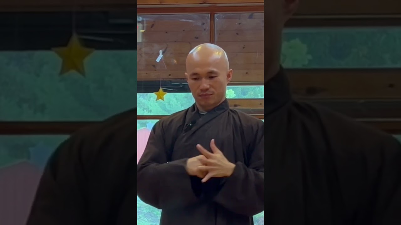 STRENGTHEN INTERNAL ORGANS - Do This Massage Daily | Qigong Massage With 10 Fingers #shorts