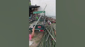 Physical skills for unloading bamboo poles - work efficiency improvement