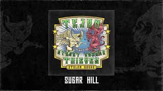 Tejon Street Corner Thieves - Sugar Hill (Official Audio)