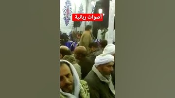 أصوات ربانية تلاوة نادره سورة المائدة