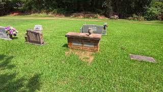 Tiny Hidden Buckner Cemetery Arkansas