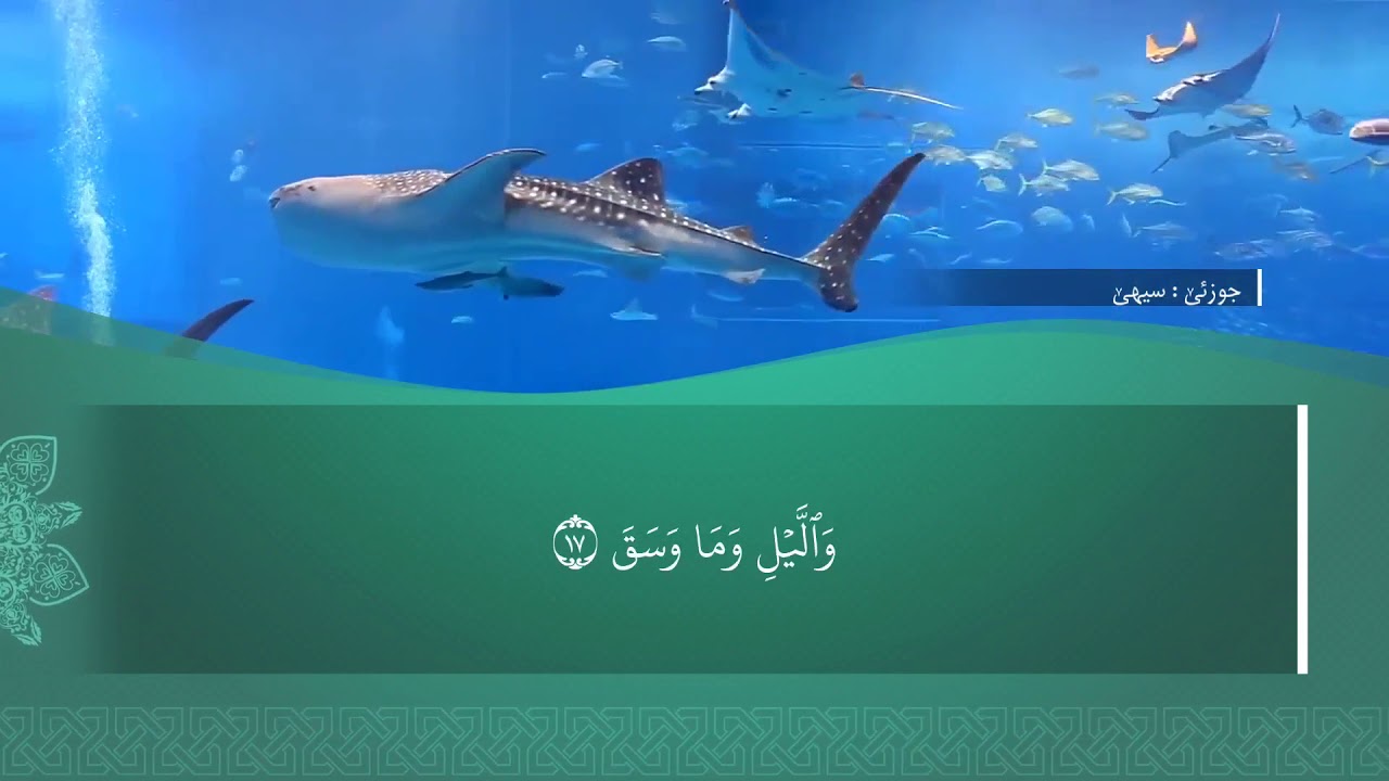 تەفسیرا سوورەتا الانْشِقَاق1080p