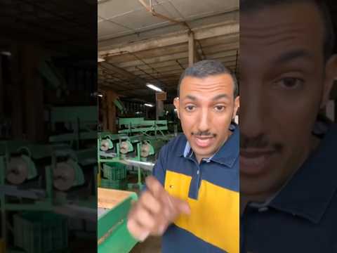 5 مزارع الشاي ومصانع شاي الوزة في سيريلانكا 