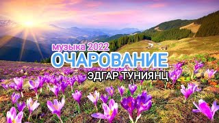 НЕЖНАЯ МУЗЫКА "ОЧАРОВАНИЕ" Э. ТУНИЯНЦ. музыкальная терапия