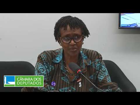 COMISSÃO DE DIREITOS HUMANOS, MINORIAS E IGUALDADE RACIAL