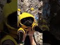 Cats will be cats #shorts #short #funny #cat #catvideos #funnycatsvideos #cute #pets #коты #котики