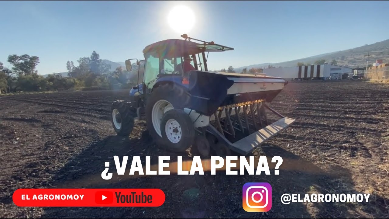 SEMBRANDO TRIGO | CULTIVO OTOÑO-INVIERNO | EL AGRONOMOY