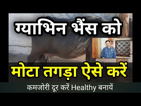 वीडियो: क्या नेमटैग तैयार किए जा सकते हैं?