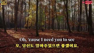 Download Lagu Alex Porat - You Are The Reason  (English lyrics) (Korean commentary) MP3