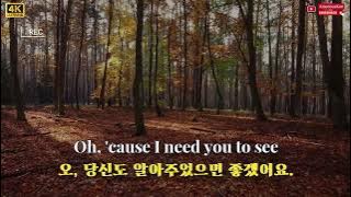 Alex Porat - You Are The Reason  (English lyrics) (Korean commentary)
