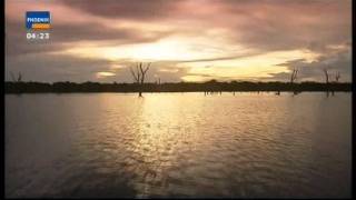 Tropenfieber - Die Eroberung Des Amazonas 1 5