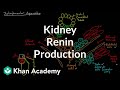 Renin production in the kidneys | Renal system physiology | NCLEX-RN | Khan Academy