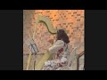 Passagem de Ano Novo ✨️ Cantando com minha Harpa a Canção Deserto ( pequeno trecho)
