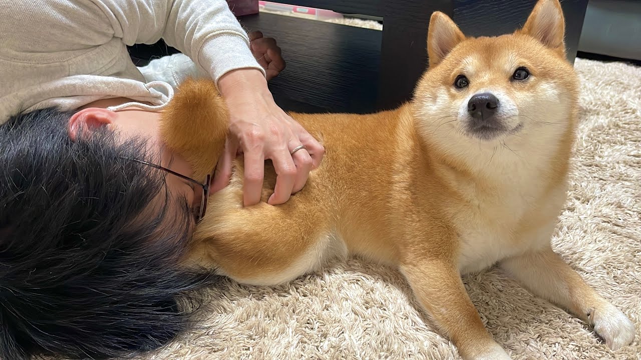 maxresdefault.jpg