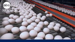 Settlement reached on egg prices