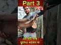 এই ৪টি মাছ ভুলেও খাবেন না ❌ | জানলে আজই খাওয়া বন্ধ করবেন! 😱