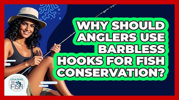 Why Should Anglers Use Barbless Hooks For Fish Conservation? - Chasing Big Fish