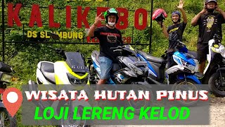 Download Wisata Hutan Pinus Loji || Tarik Ses Semongko Dj Tepung Kanji By Ajy One Zero Video MP3 Wisata Hutan Pinus Loji || Tarik Ses Semongko Dj Tepung Kanji By Ajy One Zero