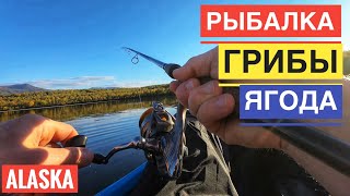 Рыбалка Грибы и Ягода в Штате Аляска