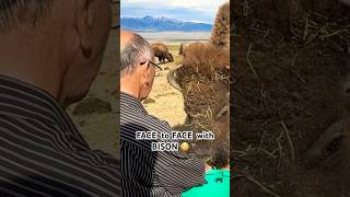 Face to Face with Bison 😳🦬