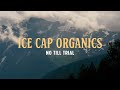 Organic innovation series episode 3 no till trial  ice cap organics