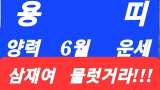 용  띠(양력6월운세)전포항대학사주명리학과교수ㆍsbs백년손님운세출연313회mbc국운출연ㆍ주간인물등다수언론등재…