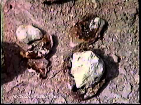 pillar salt structure ê³µê°í©ëë¤ ê³ ëª¨ë¼ íëëì YouTube 보물ì ìëê³¼ pillar salt structure ê³µê°í©ëë¤ ê³ ëª¨ë¼ íëëì YouTube 보물ì ìëê³¼
