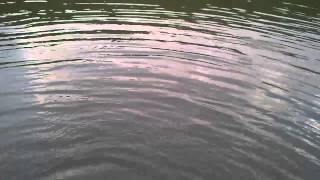 Sjeničko Jezero-18.07.2014.God Pecanje Skobalja