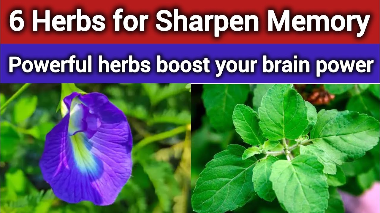 how to sharpen brain memory - YouTube