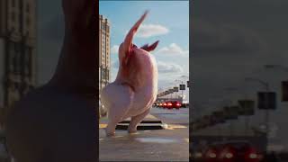 Super Twurkey. Tell me what you want to see next! #twurkey #dance #Requests
If yall have any requests, drop me a comment. Super Twurkey. Tell me what you want to see next! #twurkey #dance #Requests