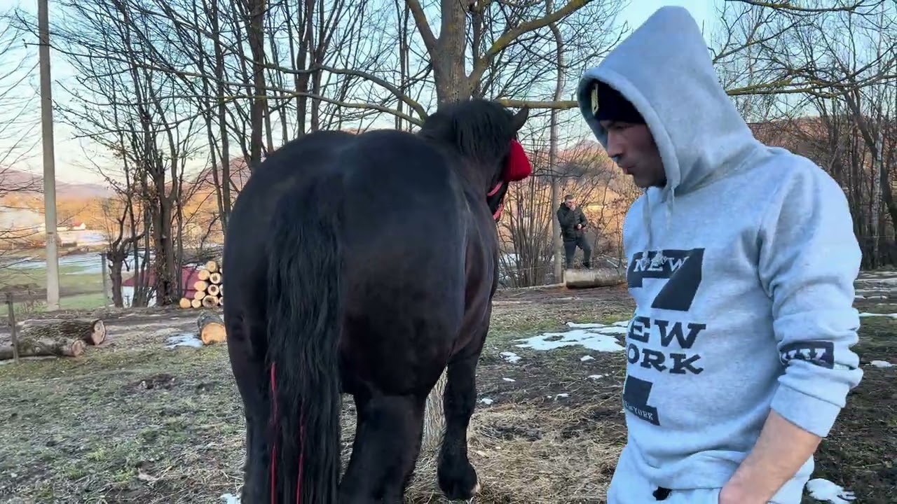 🔥Жеребець Юра на паровку🔥Міша 0 (98) 963 67 56 
